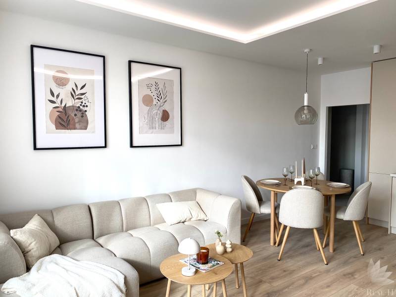 Living room in a 4-room apartment with a sofa and a dining table, wooden decor flooring.