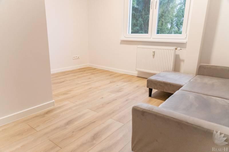 A room in a 4-room apartment with a wooden decor floor and a comfortable sofa.
