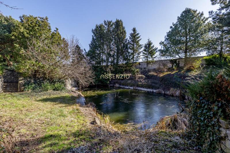 A frozen pond surrounded by trees on a residential plot in Kútniky.