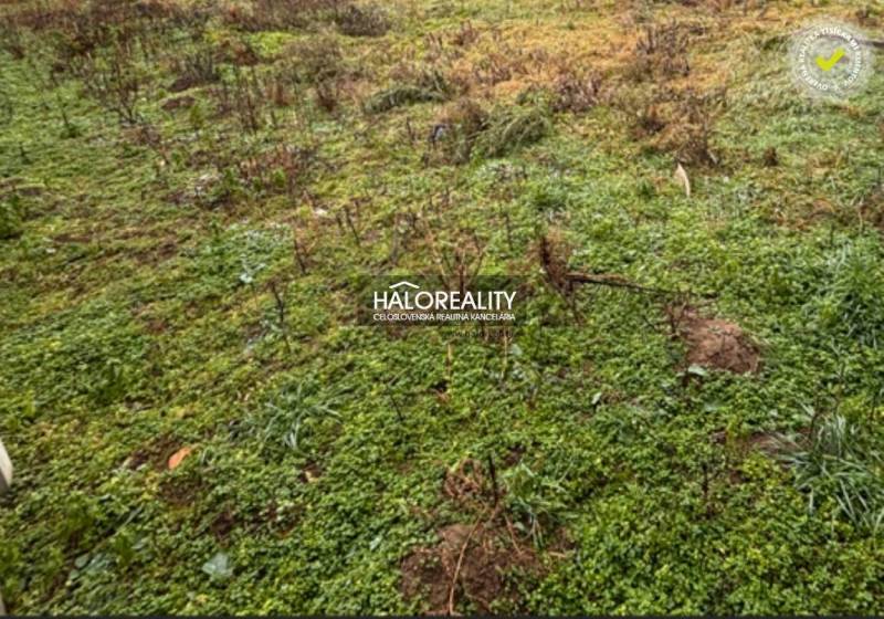 Greenery and grass area on residential plots in Madunice.