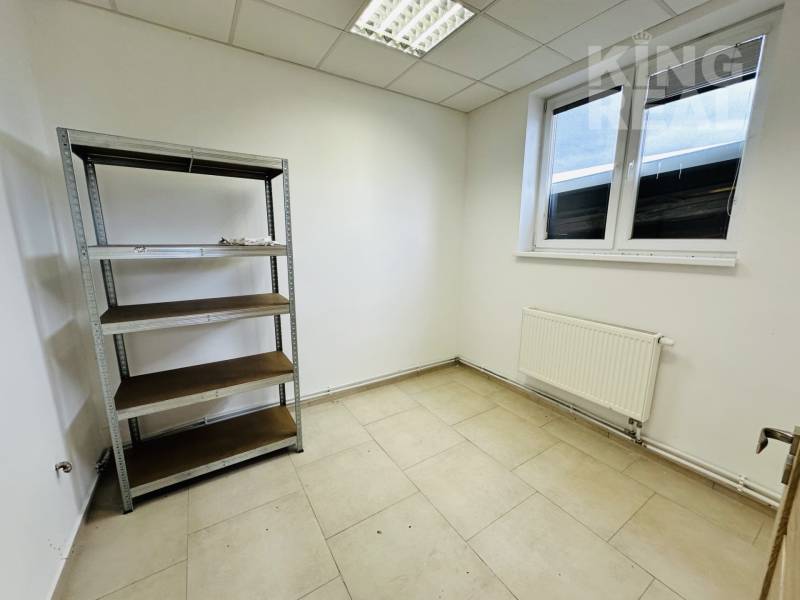 Translate this into English, I want only the translation as the output: