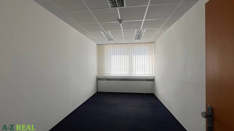 Offices with white walls and dark carpet, ceiling lighting, vertical blinds.