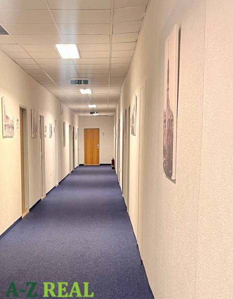 Office corridor with blue carpet and white walls.