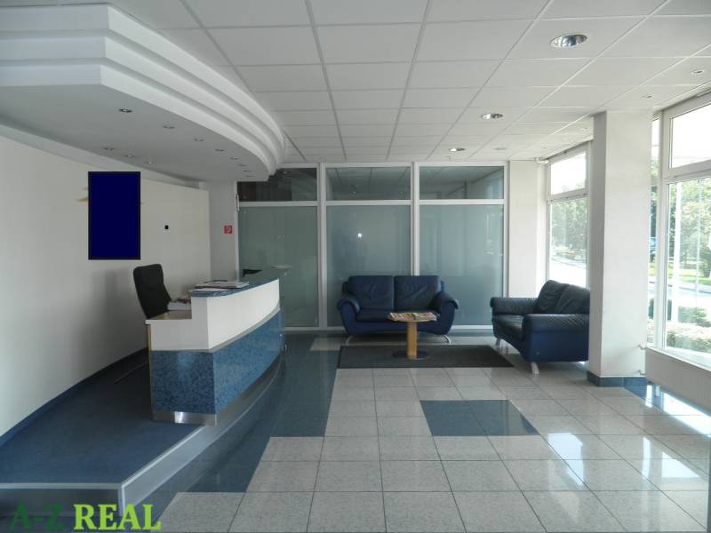 Reception with sofas in offices, bright spaces, glass partitions.