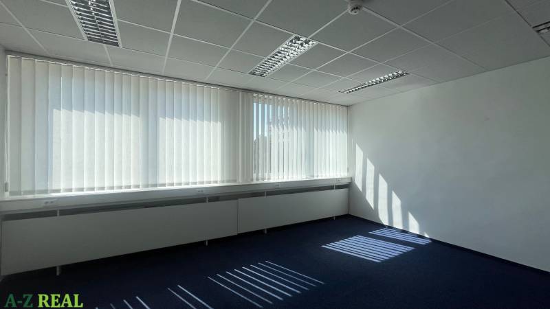 Offices with carpeted floors and shading blinds, illuminated by natural light.