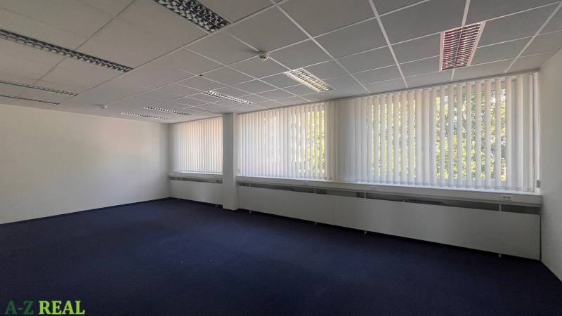 Empty offices with blue carpet, vertical blinds, and a suspended ceiling.