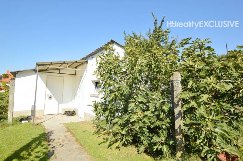 A family house in Hegyeshalom, a garden with greenery and a simple extension.