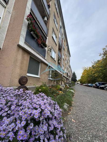 The exterior of an apartment building on SNP Street in Šahy with flowers and parked cars.
