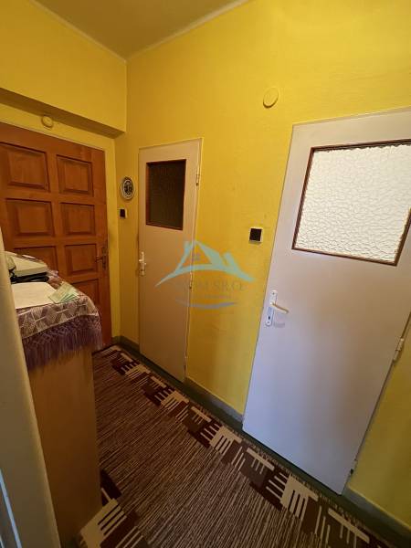 Entrance hallway in a 2-room apartment with carpet and yellow walls.