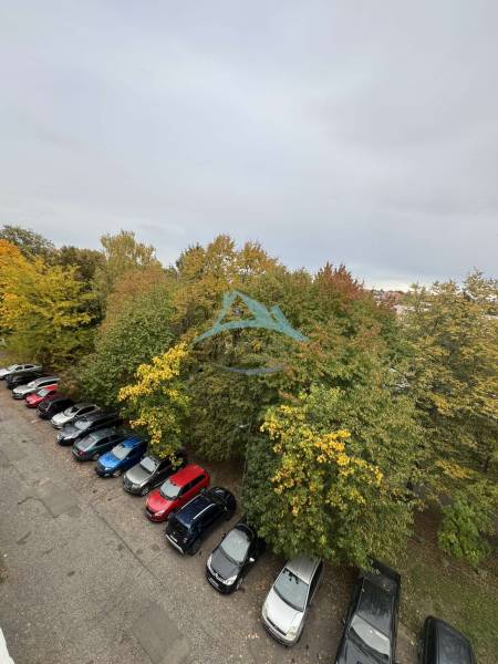 A parking lot full of cars surrounded by trees on SNP Street in Šahy.