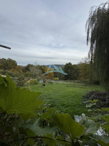 A garden at the cottage in Dolné Rykynčice with a green lawn and trees in the background.