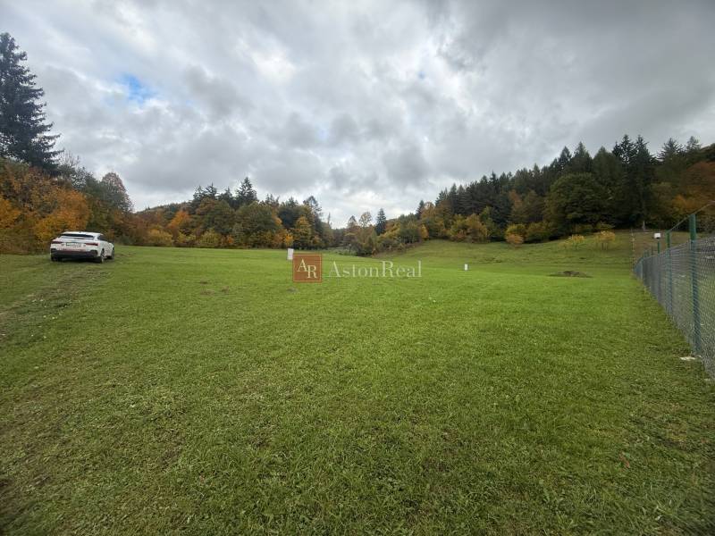 Green meadow near the forest in the Púchov, Zbora area, residential plots, with a car on the edge.