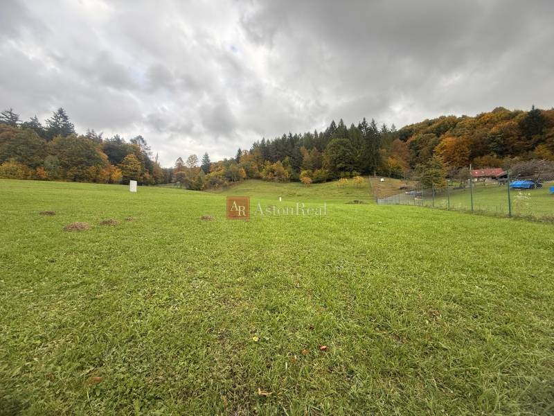 Green plot in Zbor in Púchov, suitable for living, surrounded by trees.