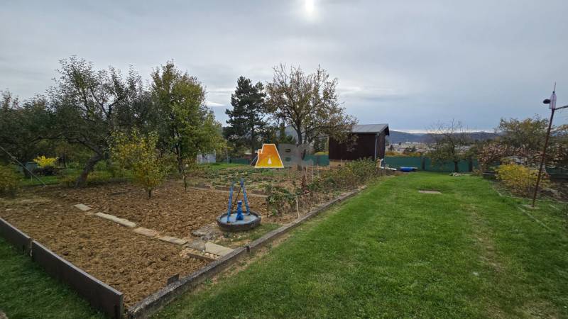Garden with fruit trees and a lawn on A. Hlinka Street in Zvolen.
