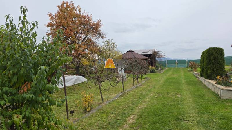 Gardens on A. Hlinka in Zvolen with a lawn, trees, vines, and a gazebo.