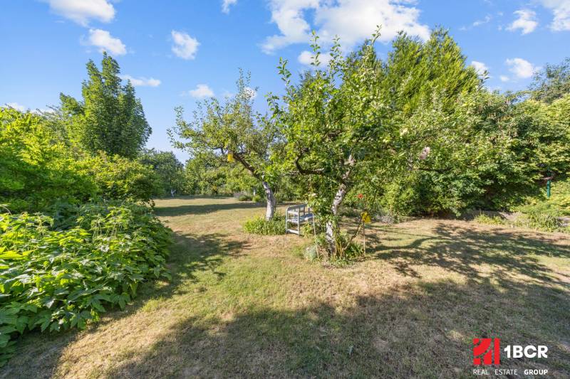 A garden with a bench surrounded by trees and shrubs in a family house on Senecká Street in Pezinok.