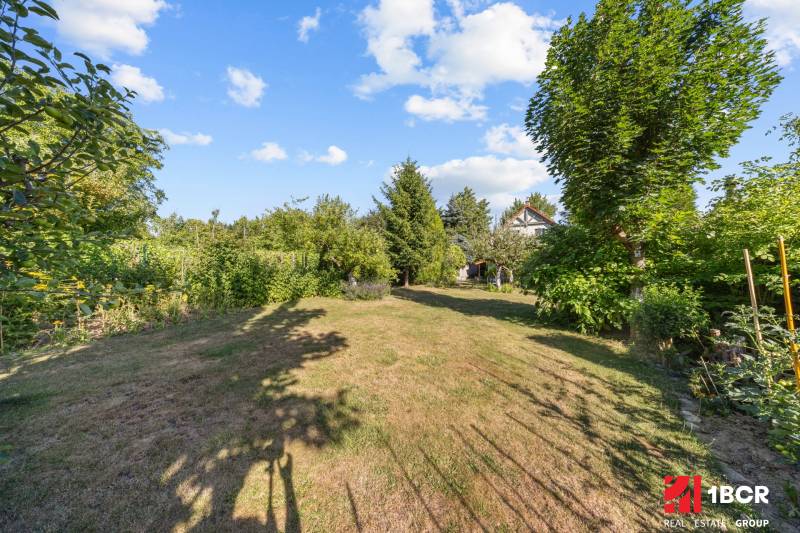 Garden space at a family house on Senecká Street in Pezinok with trees and a lawn.