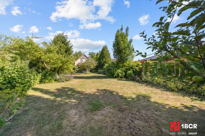 The garden at the family house on Senecká Street in Pezinok with fruit trees.