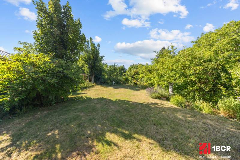 A garden in a family house on Senecká Street in Pezinok with trees and a lawn.