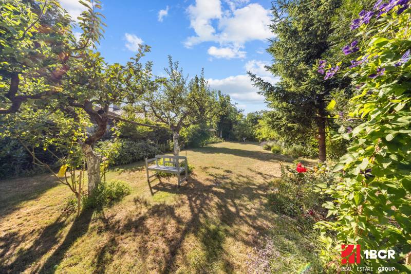 The garden of a family house on Senecká Street, Pezinok, with a bench under fruit trees.