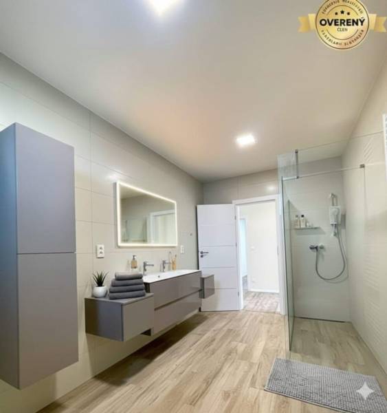 Bathroom with wood-patterned flooring, shower enclosure, and furniture in a family house.