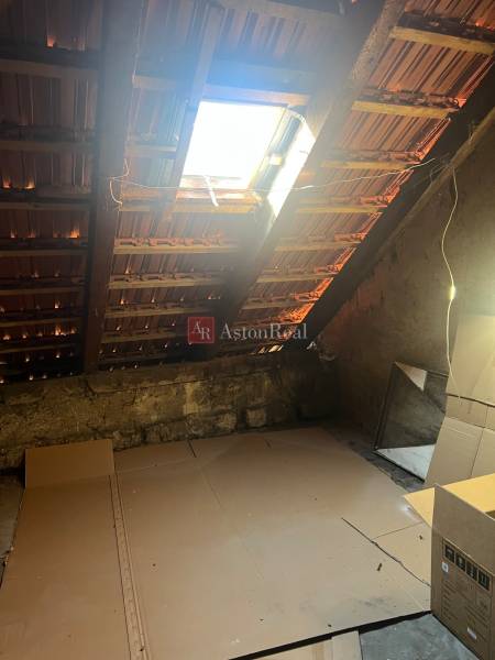 An attic with an uncovered roof and a skylight in a studio apartment.