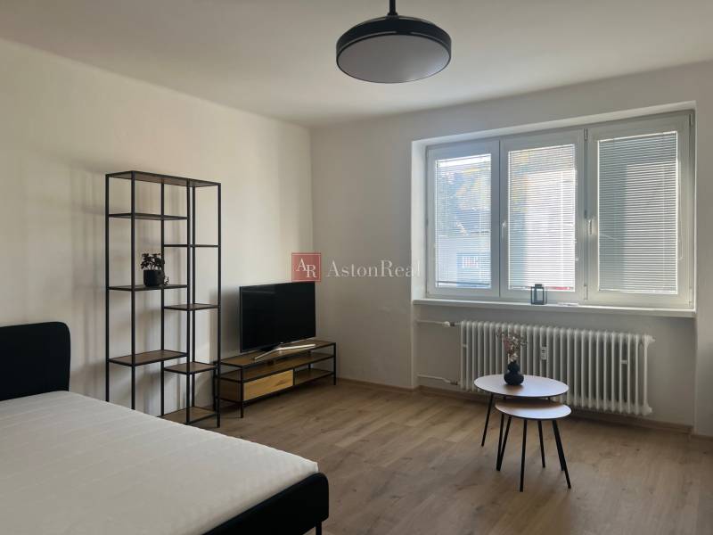 Living room in a studio apartment with a bed, television, and wooden decor flooring.