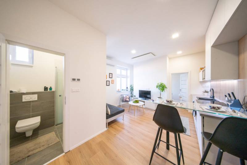 Living room and kitchen in a two-room apartment with a wooden decor floor.