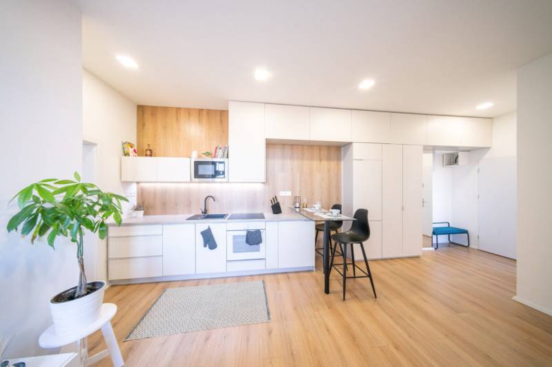 Kitchen in a 2-room apartment with a wooden decor floor and a houseplant.