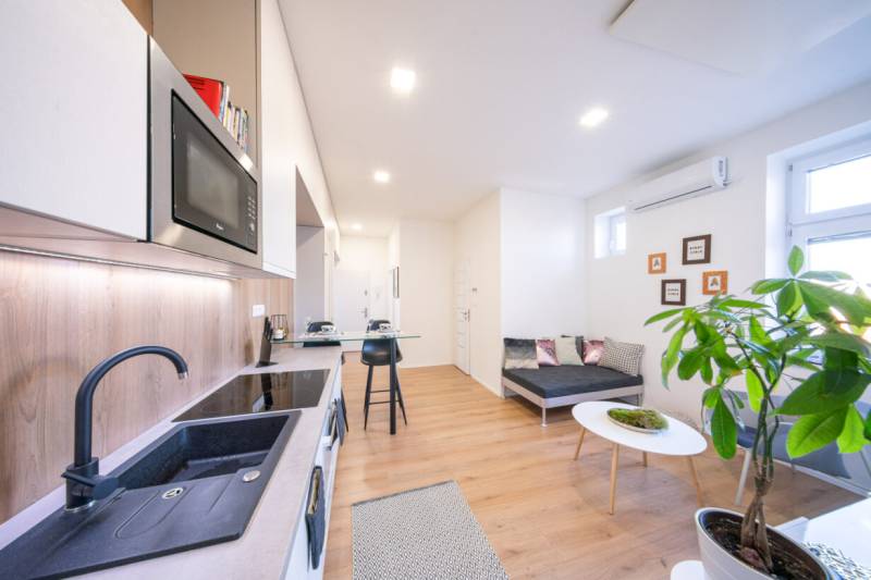 Kitchen in a 2-room apartment with wood-patterned flooring, dining area, toilet, and sofa.