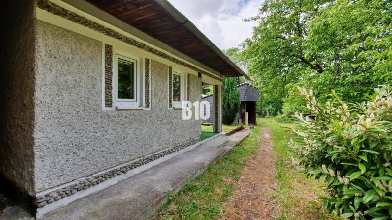 A cottage in Necpaly surrounded by greenery, stone path, large windows, forest vegetation.