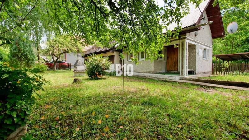 A cottage in Necpaly with a lawn and an outdoor fireplace, surrounded by greenery and trees.