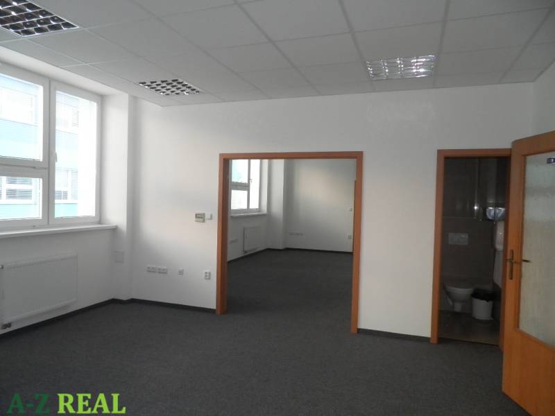 Office interior with carpeted floor, large windows, and access to a bathroom.