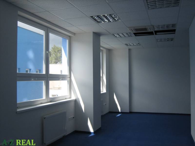 Spacious offices with blue carpet and large windows.