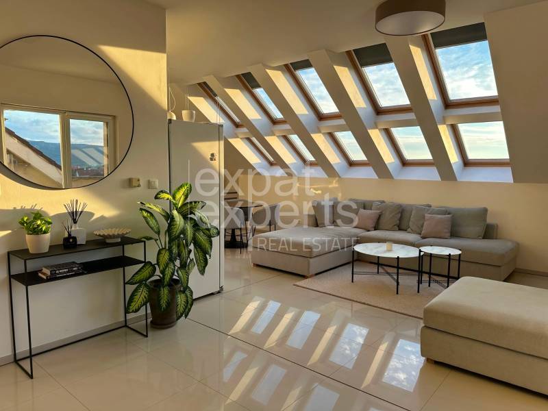 Living room in a 3-room apartment with large skylights and houseplants.