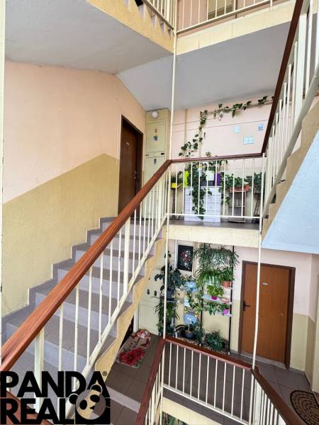 A staircase with plants and doors in a 4-room apartment, light-colored painting.