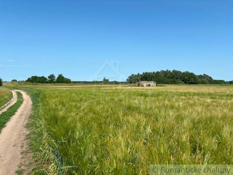A dirt road and a bunker in the vicinity of Malé Leváre with a forest in the background.