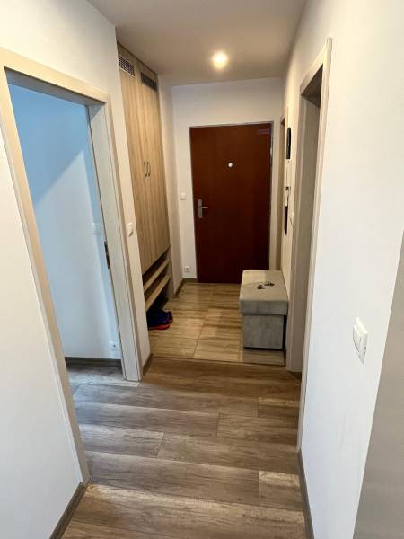 A hallway in a 2-room apartment with a wooden decor floor and a coat rack wall.