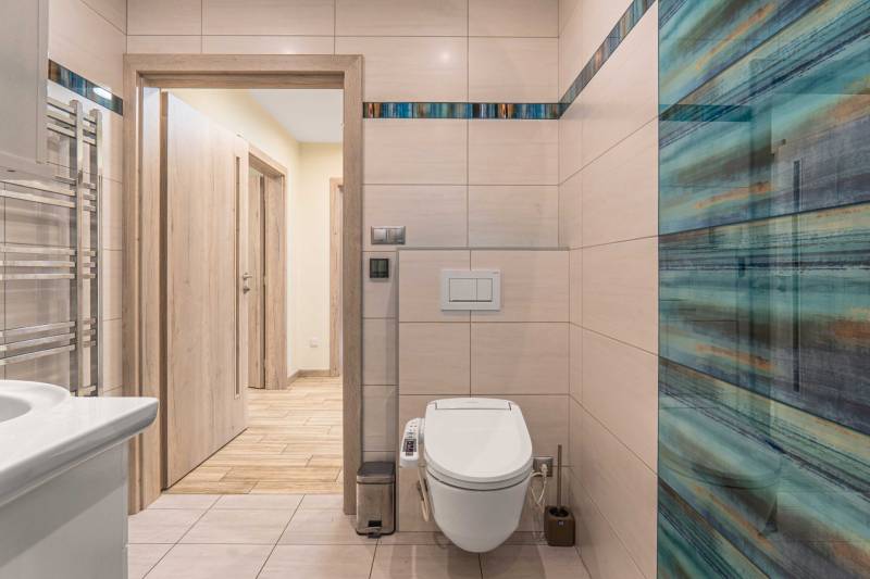 Bathroom in a family house with ceramic tiles and a toilet, light wooden door.