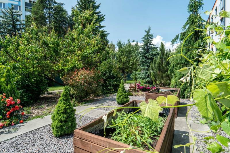 A garden with wooden planters and greenery on Janka Matúška Street in Bánovce nad Bebravou.