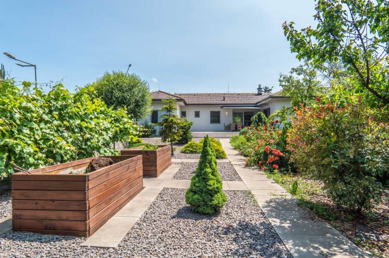 The garden at the family house on Janka Matúška Street in Bánovce nad Bebravou with landscaped ornamental plants.