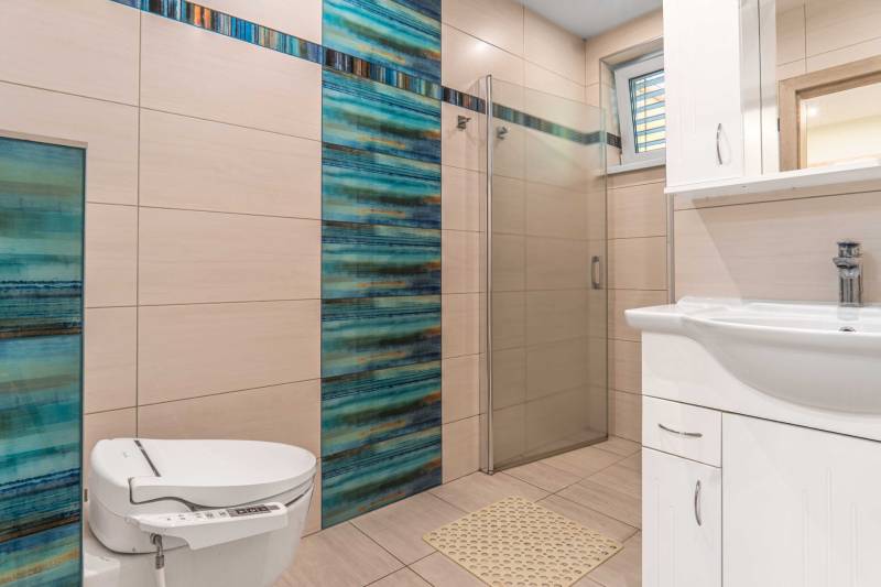 A bathroom in a family house with a toilet, shower, and sink, with blue tiles.