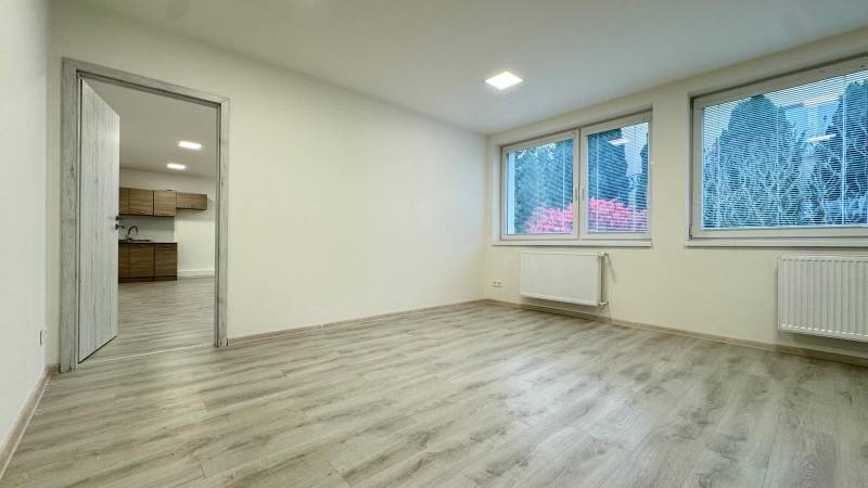 Interior of offices with wood-patterned flooring and large windows.