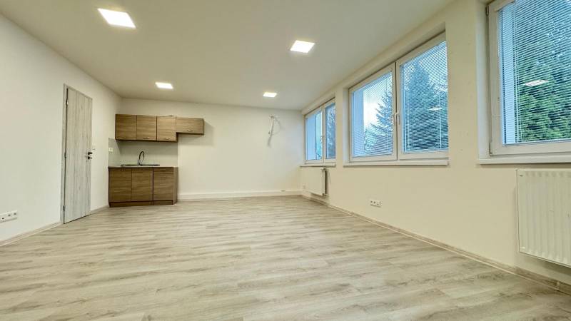 Spacious offices with large windows and a kitchenette, flooring with a wood decor.