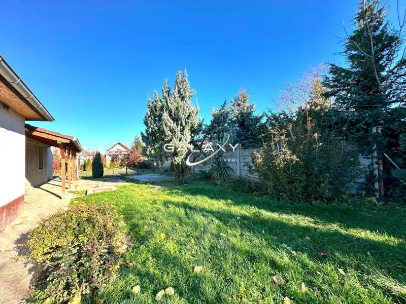 A family house in Horné Saliby with a grassy garden, coniferous trees, and a concrete walkway.