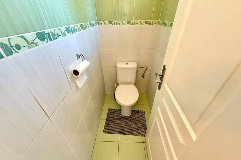 Green and white toilet in a family house with ceramic tiles and a rug.