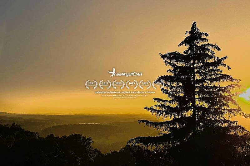 Silhouette of a tree with a view of the landscape at sunset. Trnava, cottage.