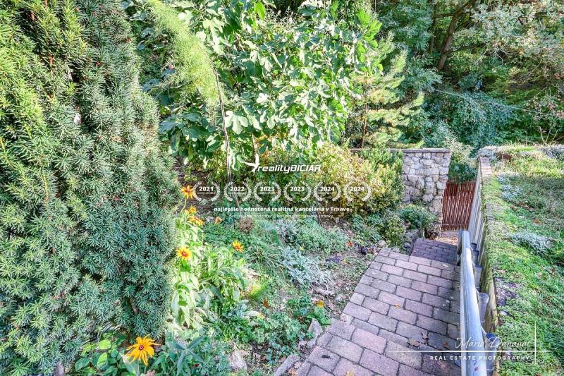 A path in the garden of a family house surrounded by flowers and greenery.