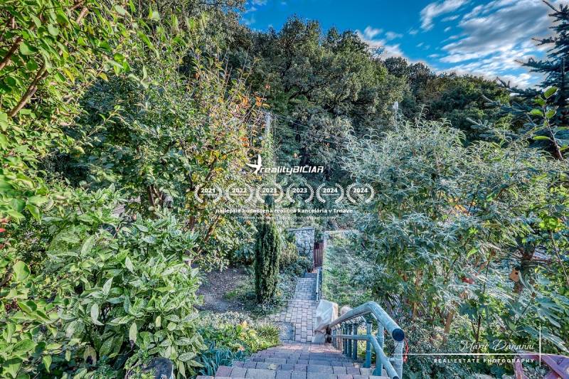 The garden of the cottage in Bratislava - Devín, surrounded by greenery with a stone staircase.