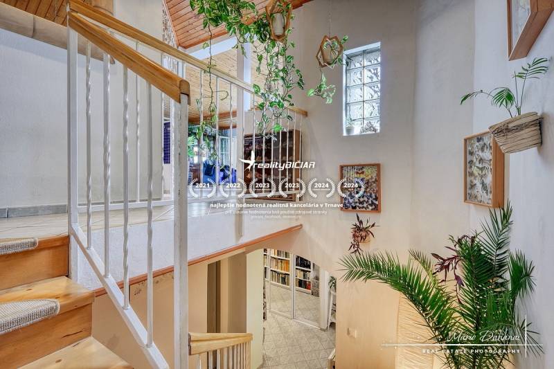 Interior of a cabin with plants, wooden stairs, and decorations on the walls.
